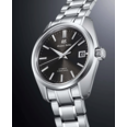 SBGH301G