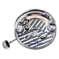 SBGE295G